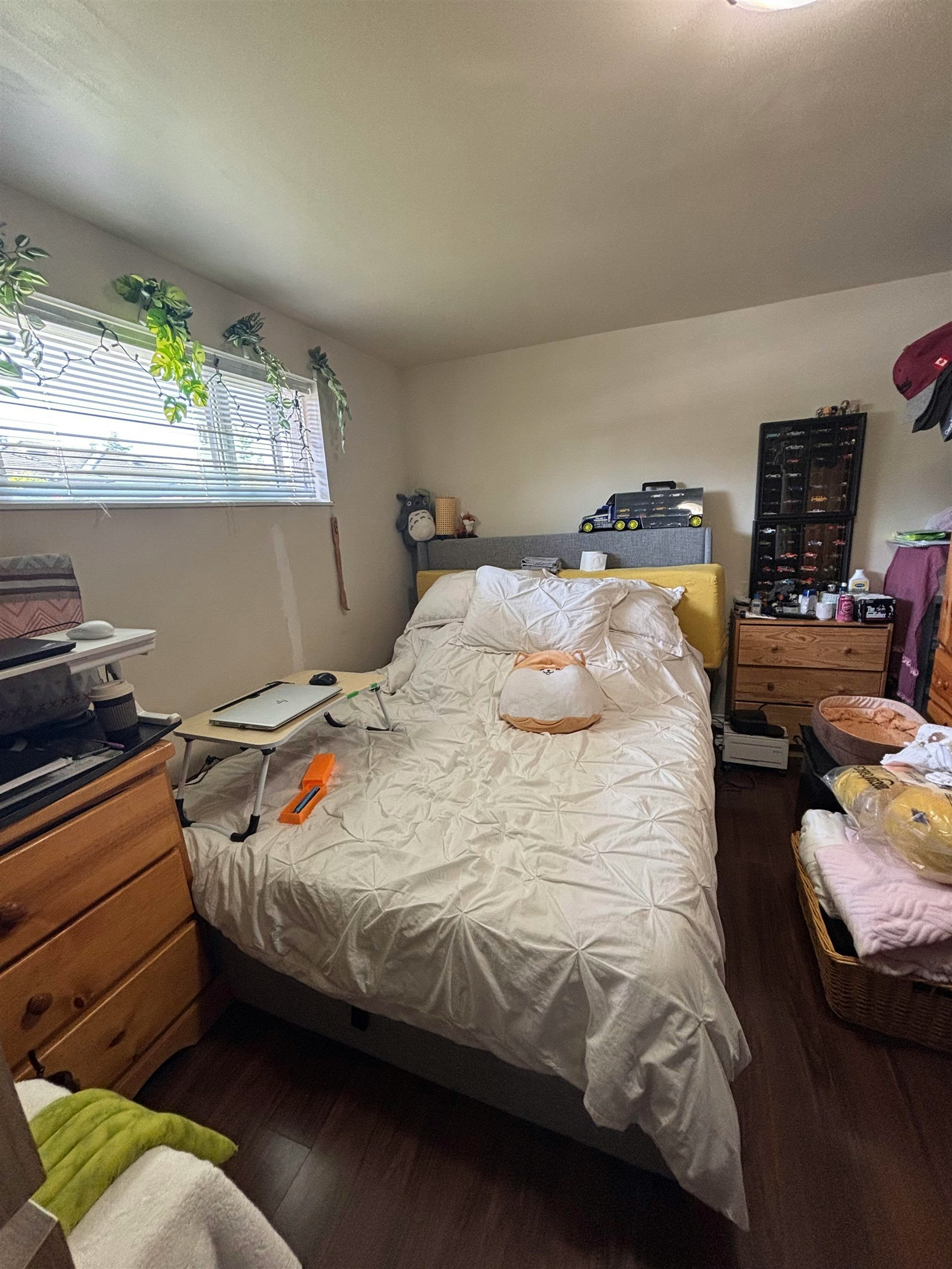 10120 Aintree Crescent, Richmond, BC, V7A 3T8 - 14