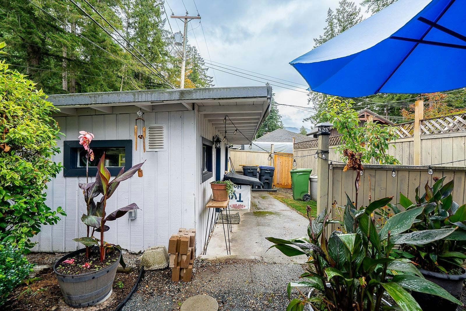 338 Balsam Street - 4
