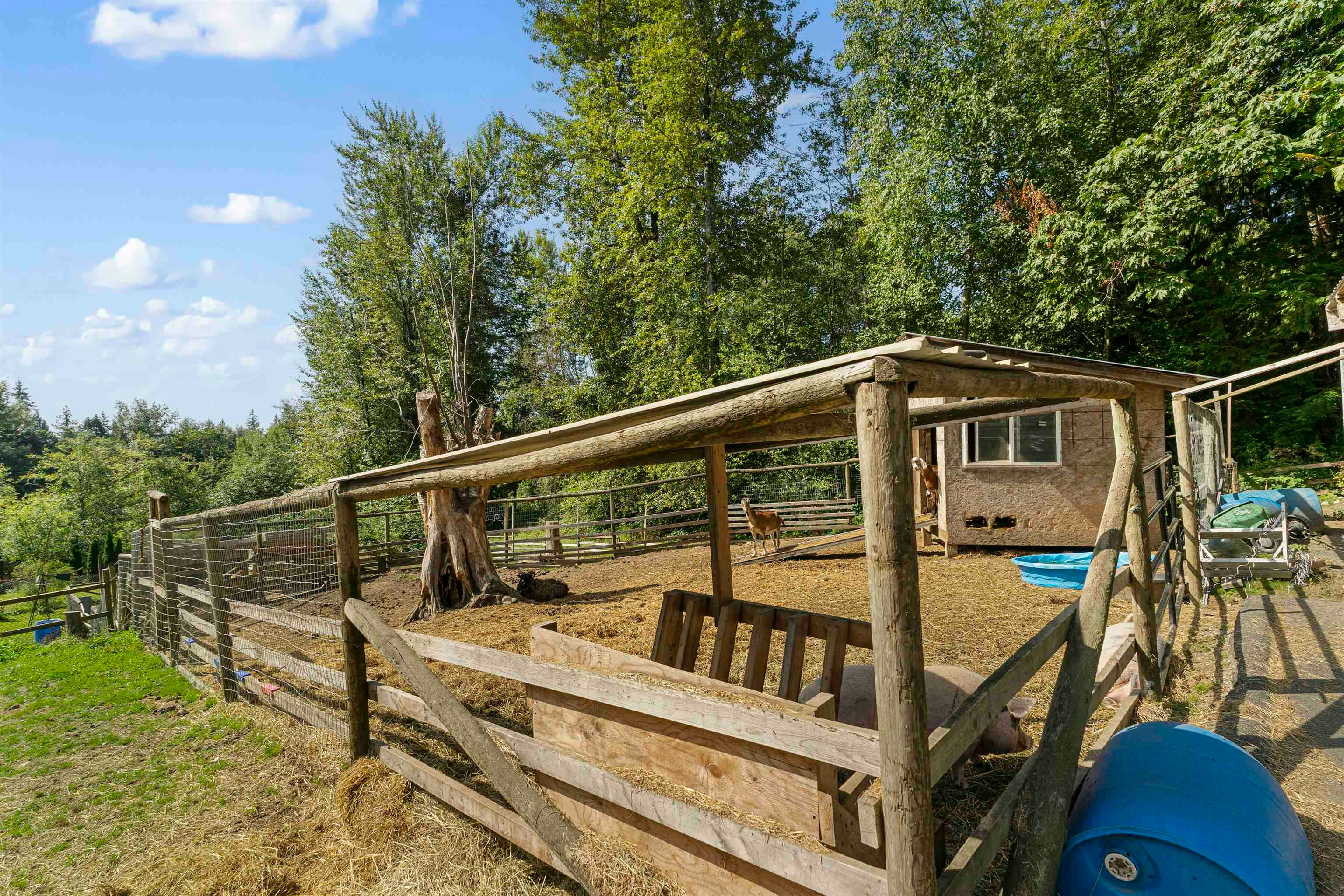 30957 Gunn Avenue, Mission, BC, V4S 1H2 - 34