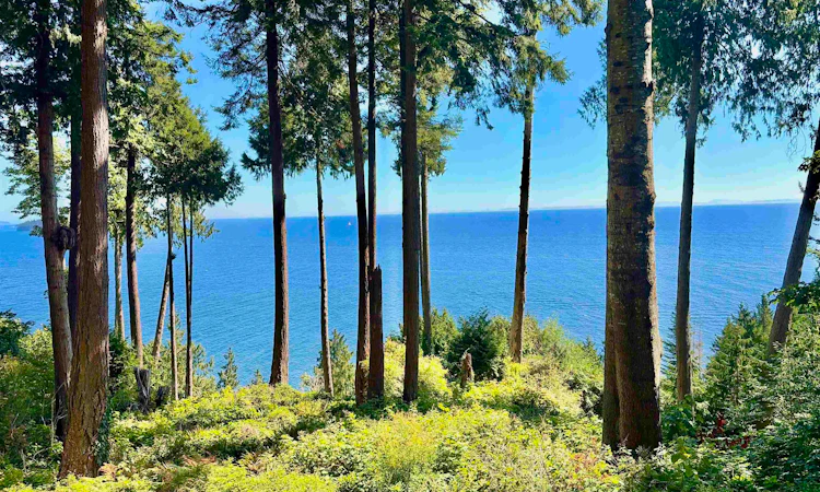 61/Lot3 Larson Road