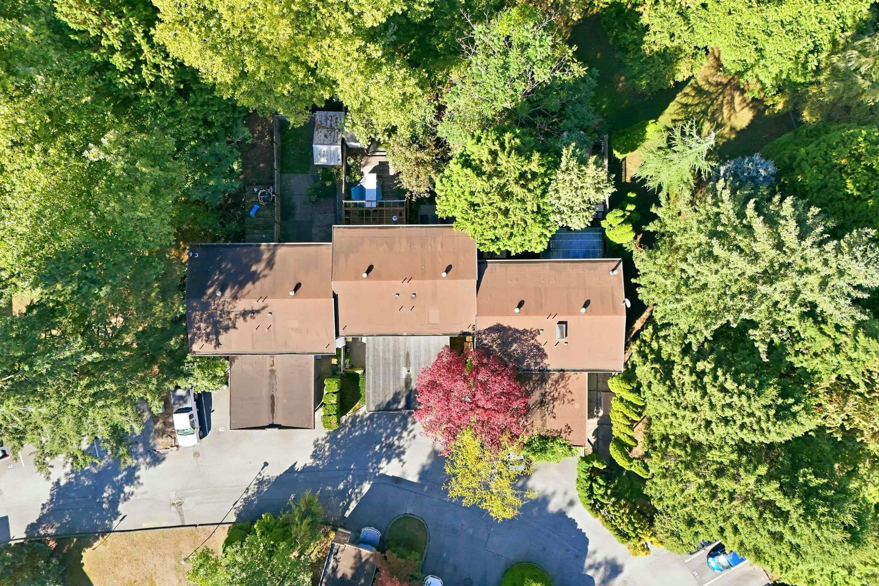 12137 Faber Crescent, Maple Ridge, BC, V2X 8A1 - 31