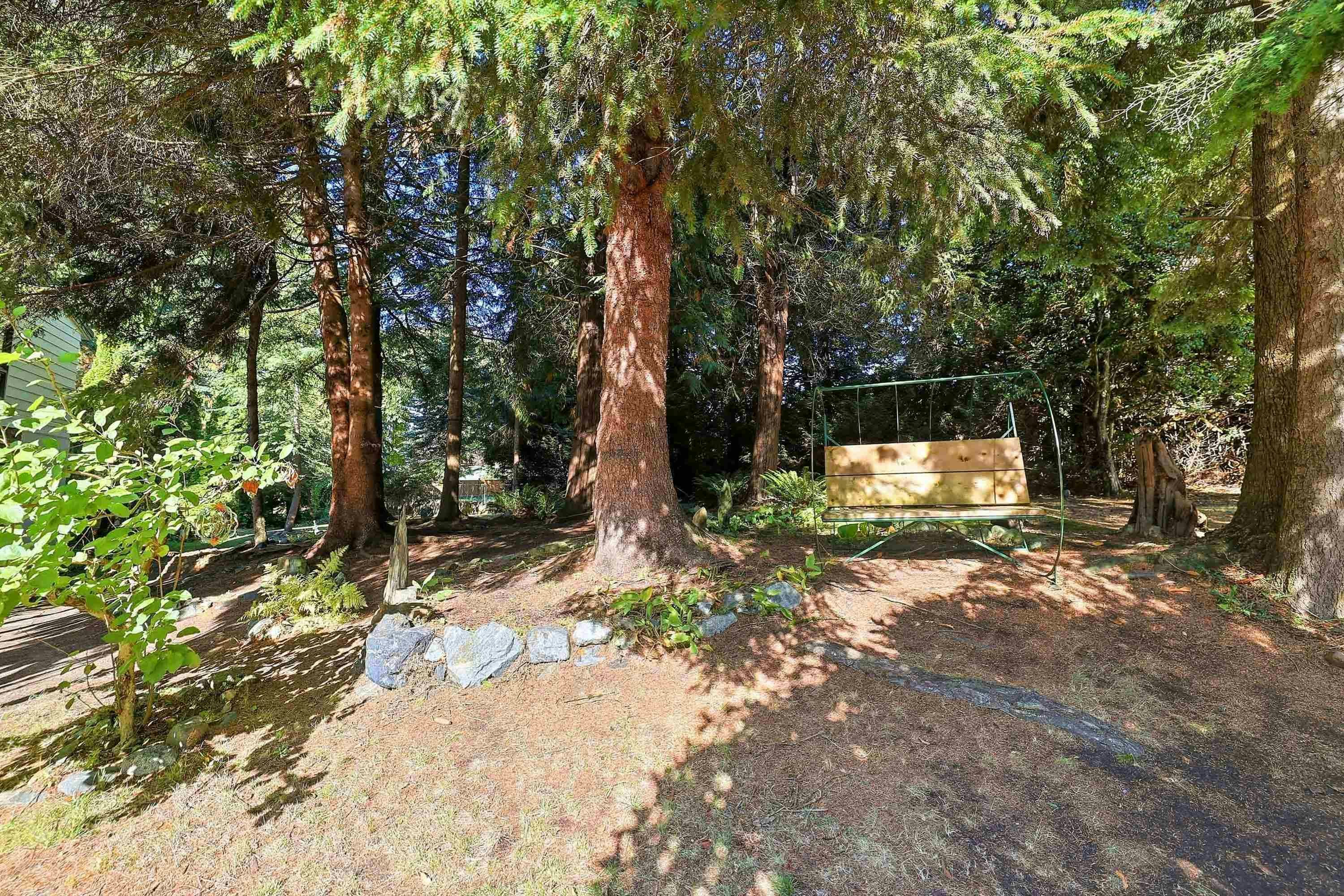12137 Faber Crescent, Maple Ridge, BC, V2X 8A1 - 33