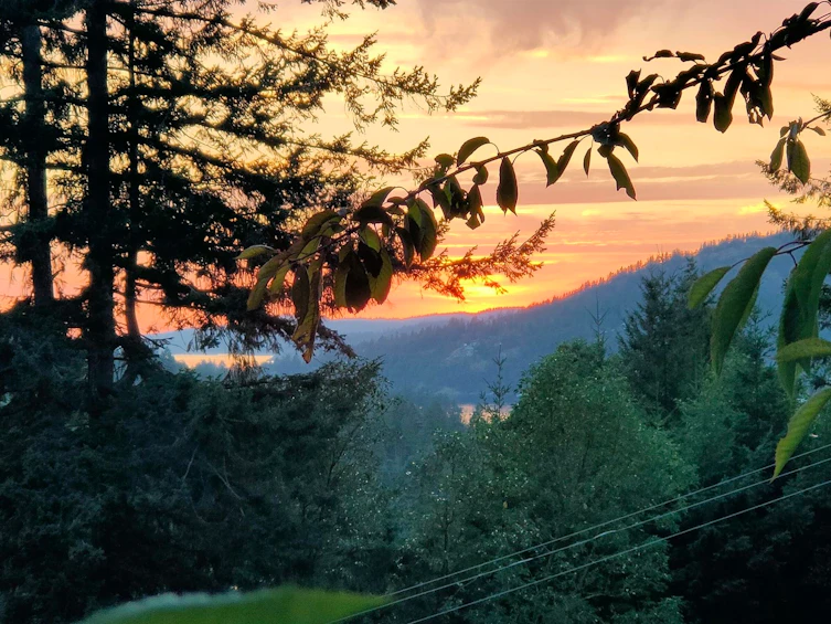 12835 Gulfview Road, Pender Harbour Egmont, BC, V0N 2H0 - 4