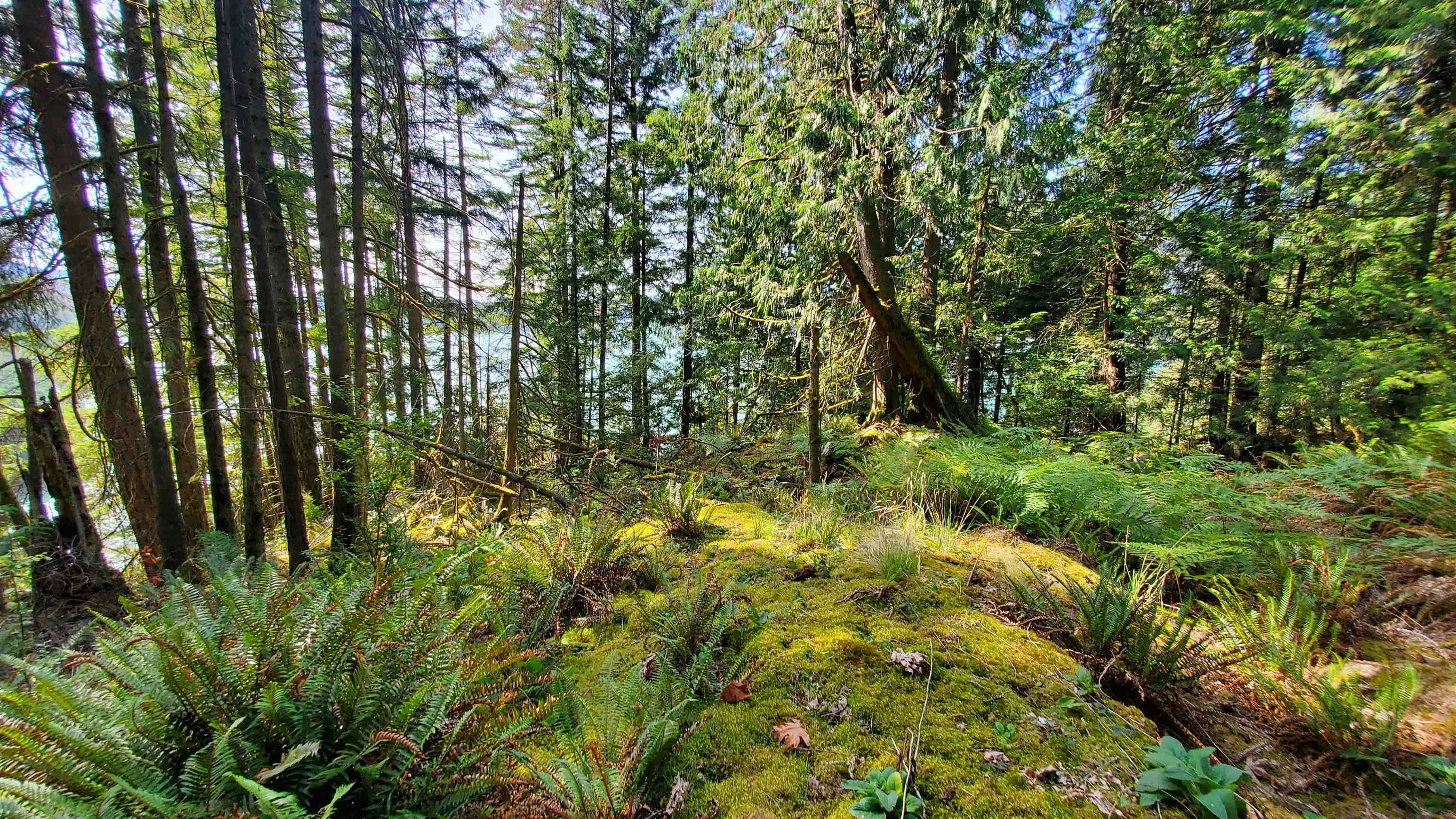 Block A Farrer Cove, North Vancouver, BC - 31