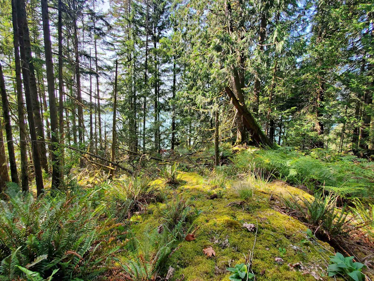 Block A Farrer Cove, North Vancouver, BC - 31