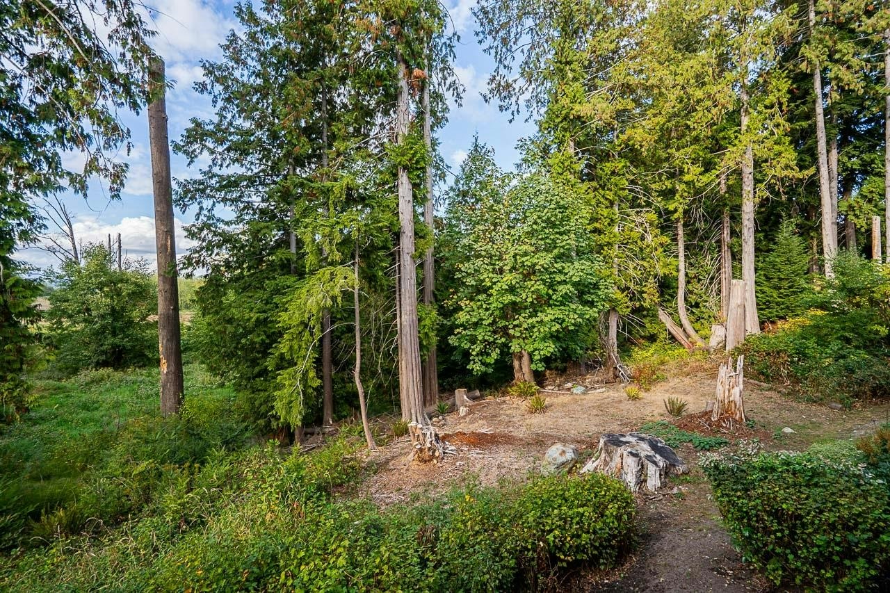 51-3618 150 Street, Surrey, BC, V3Z 0W3 - 35