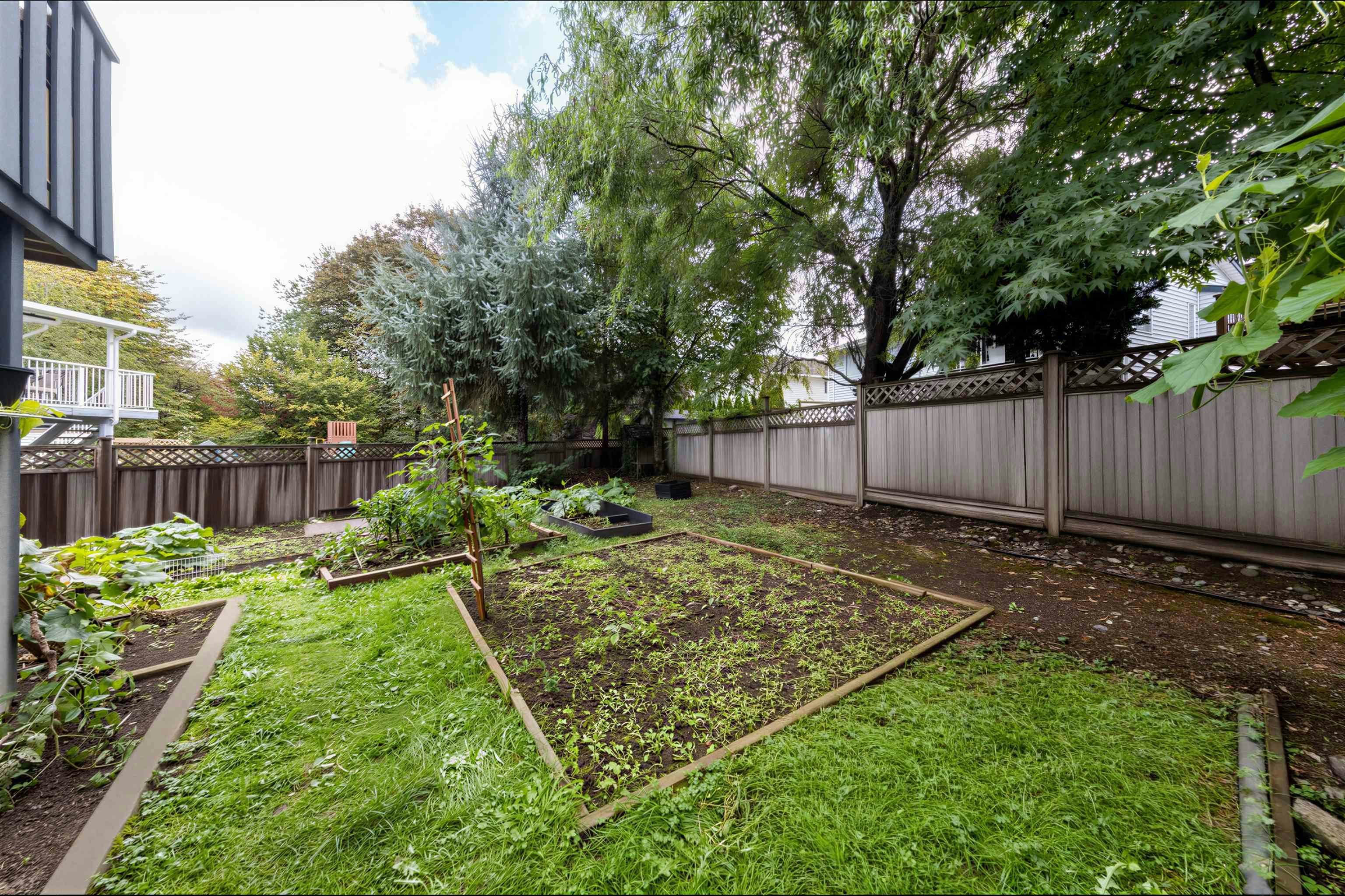22442 125 Avenue, Maple Ridge, BC, V2X 9N7 - 21