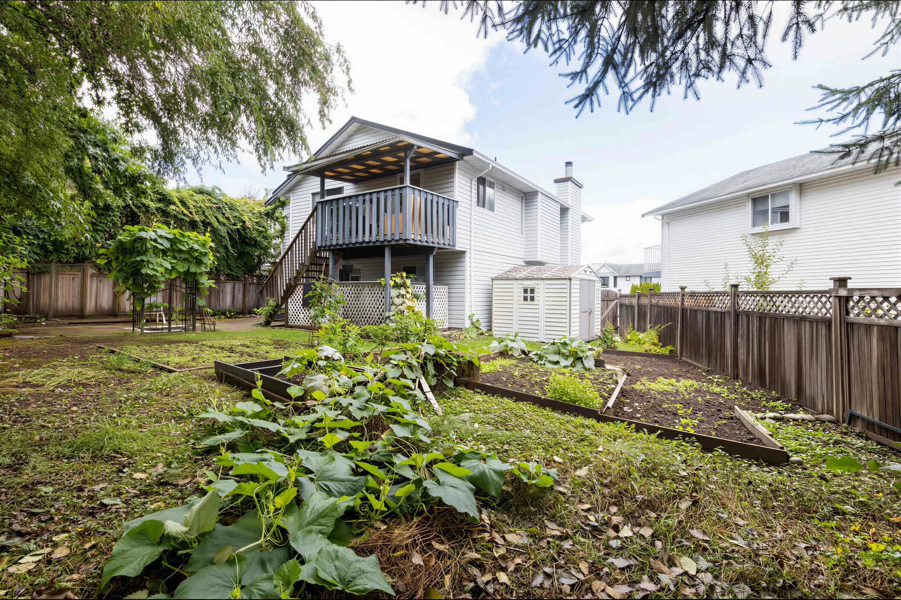 22442 125 Avenue, Maple Ridge, BC, V2X 9N7 - 23