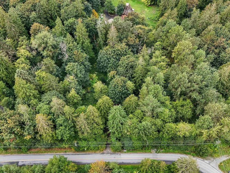10941 249 Street, Maple Ridge, BC, V2W 1Z7 - 3