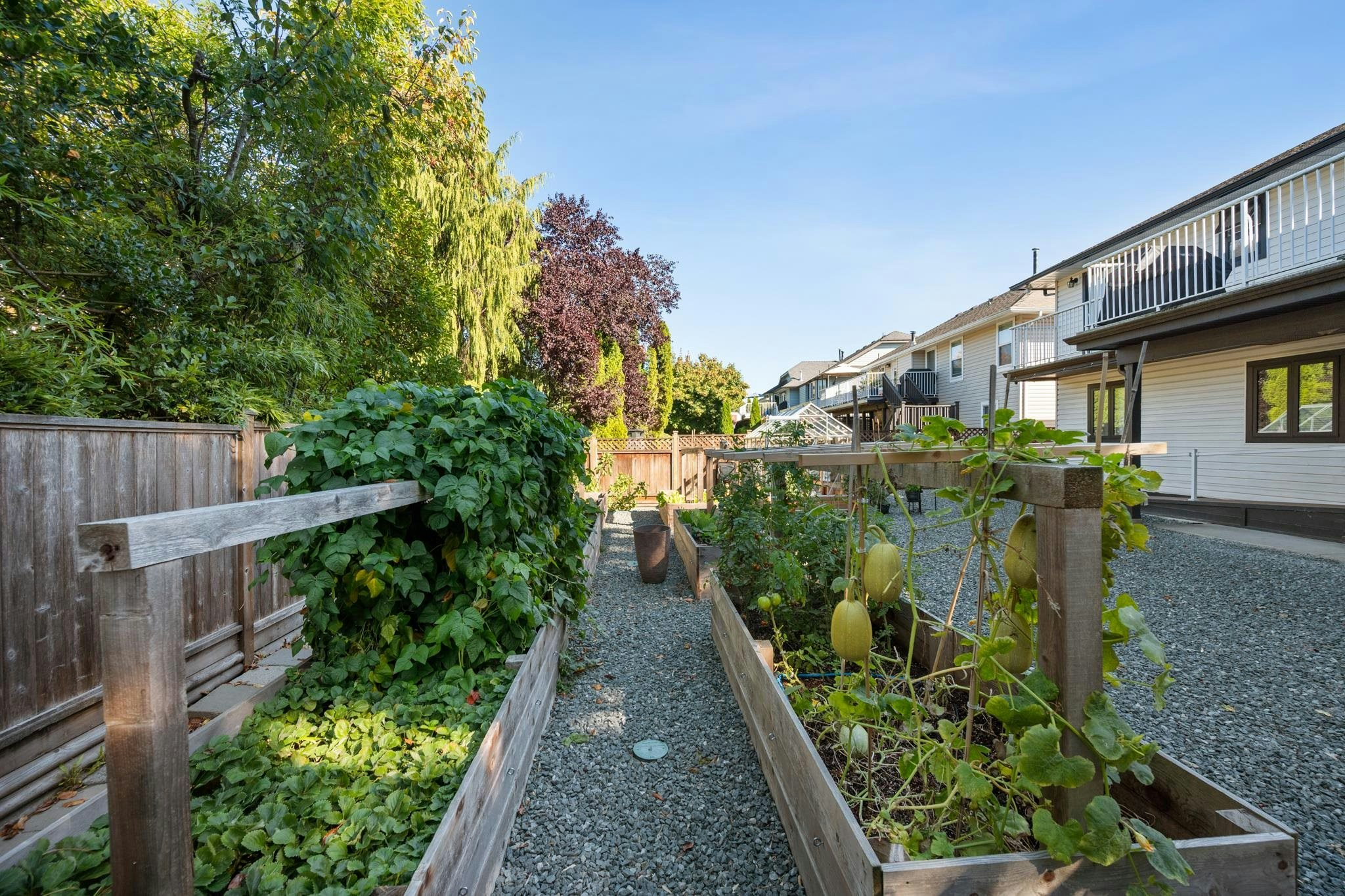 22209 Old Yale Road, Langley, BC, V2Z 1B2 - 35