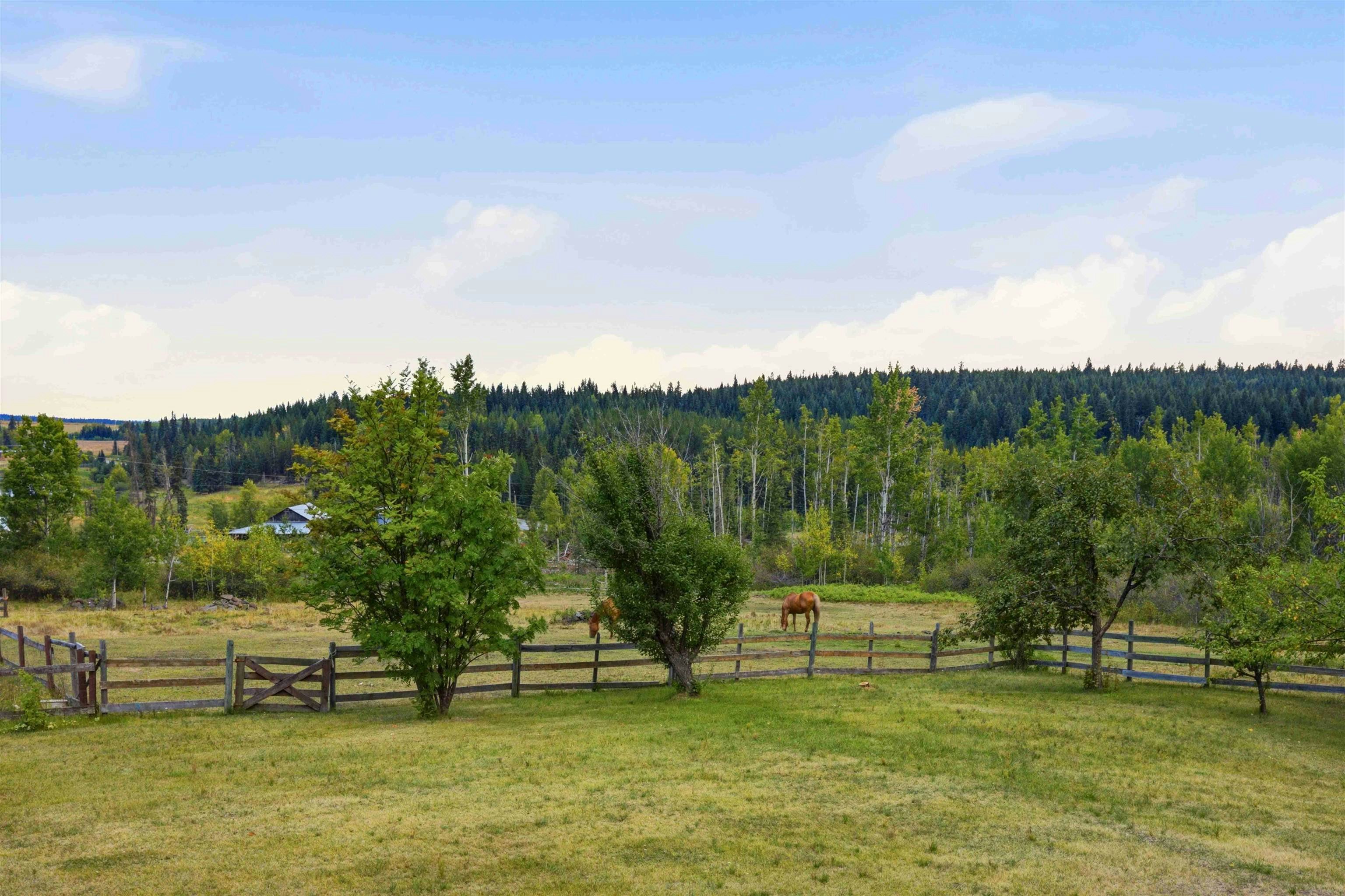 2007 Likely Road, Williams Lake, BC, V0K 2G0 - 33