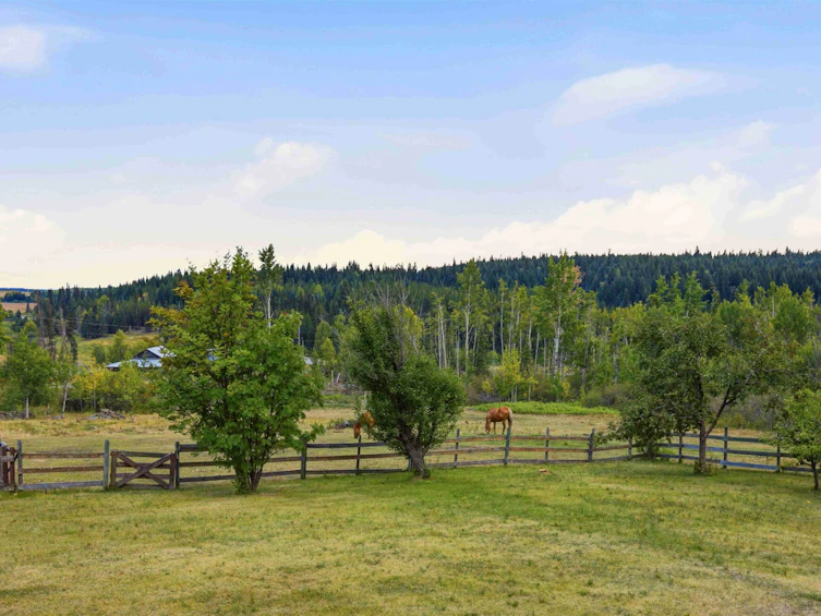 2007 Likely Road, Williams Lake, BC, V0K 2G0 - 33