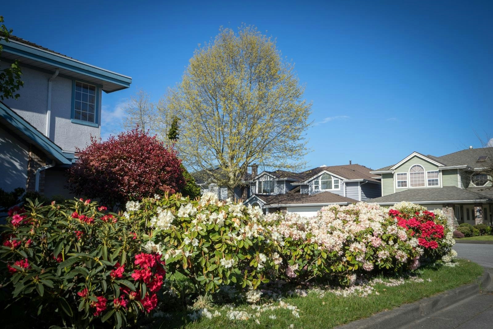 9311 Cunningham Place, Richmond, BC, V6X 3N7 - 11