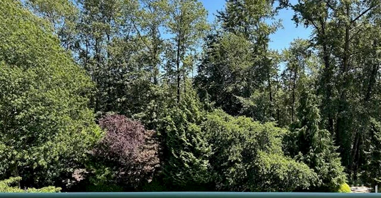 4A-338 Taylor Way, West Vancouver, BC, V7T 2Y1 - 4