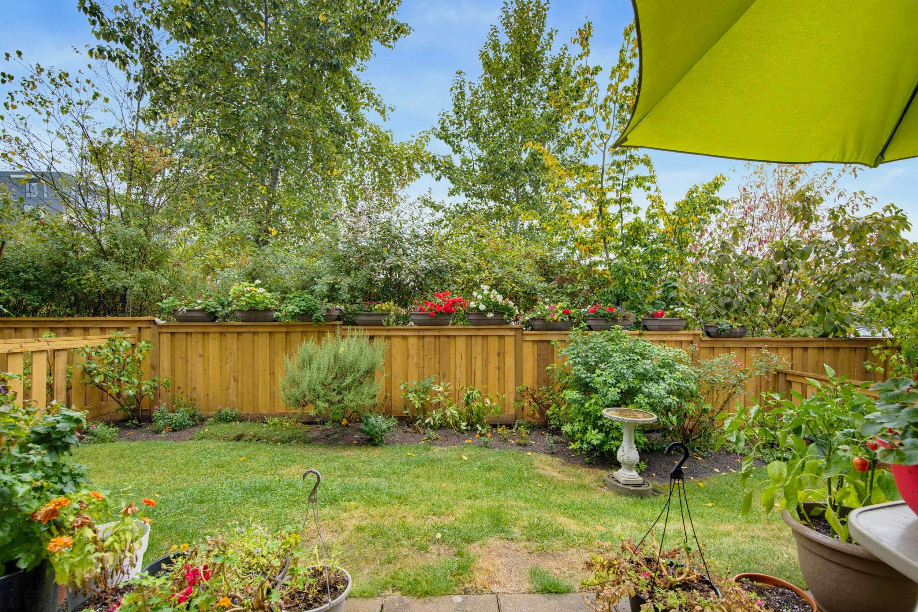62-22225 50 Avenue, Langley, BC, V2Y 0G7 - 3