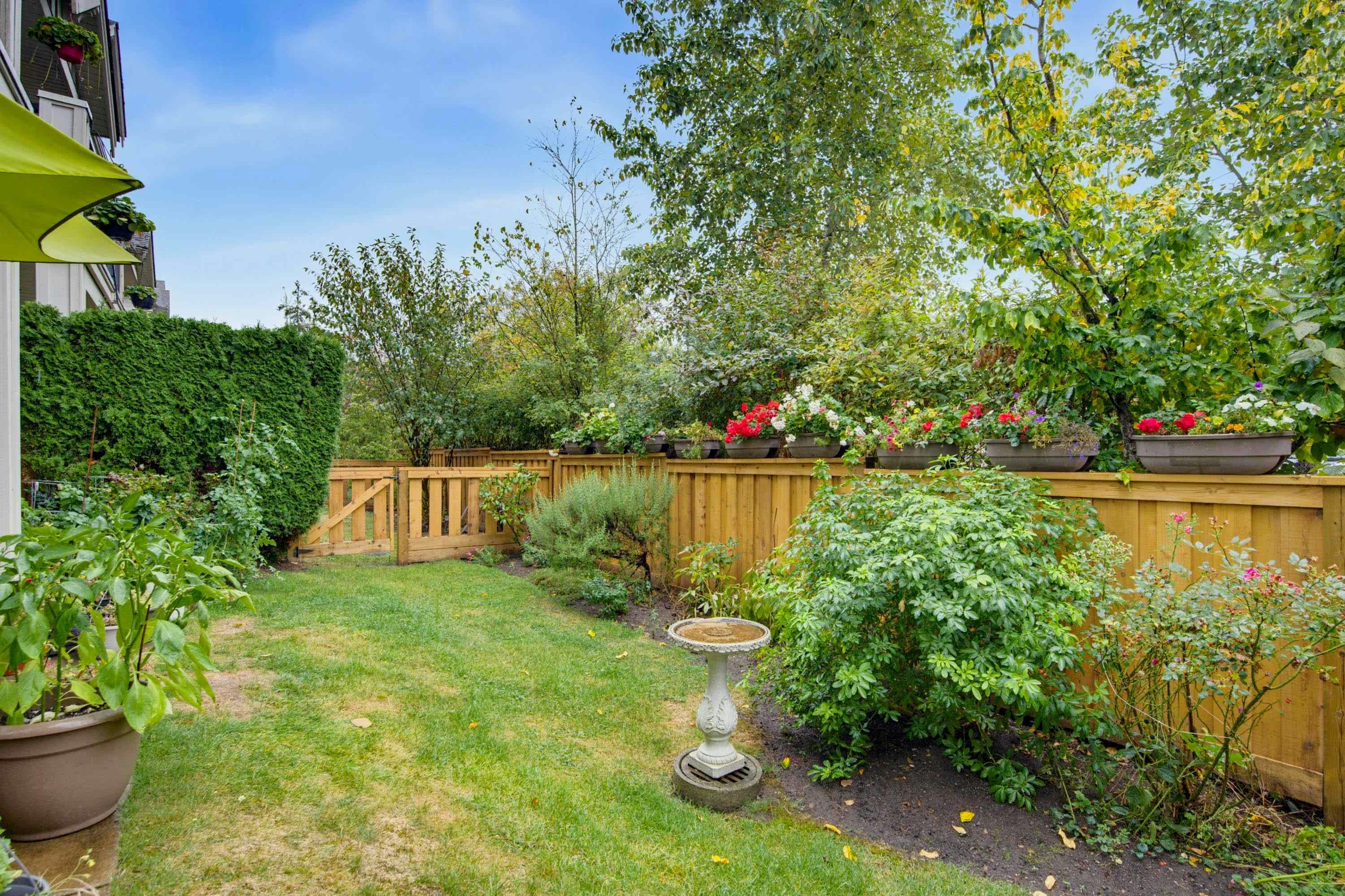 62-22225 50 Avenue, Langley, BC, V2Y 0G7 - 4