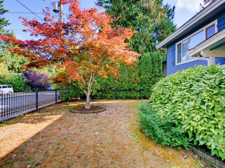 20014 38 Avenue, Langley, BC, V3A 5X7 - 3