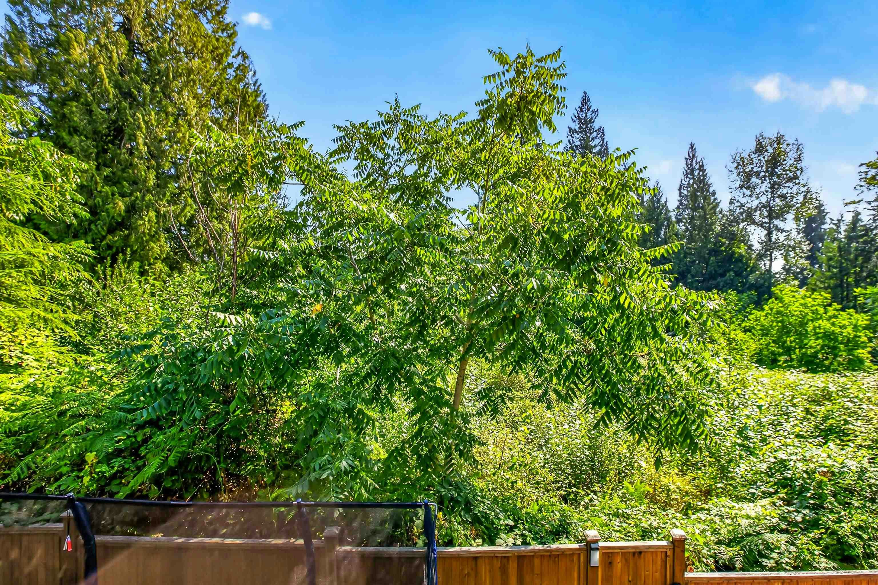 10-13263 236 Street, Maple Ridge, BC, V4R 0H3 - 33