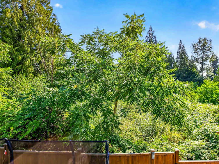 10-13263 236 Street, Maple Ridge, BC, V4R 0H3 - 33