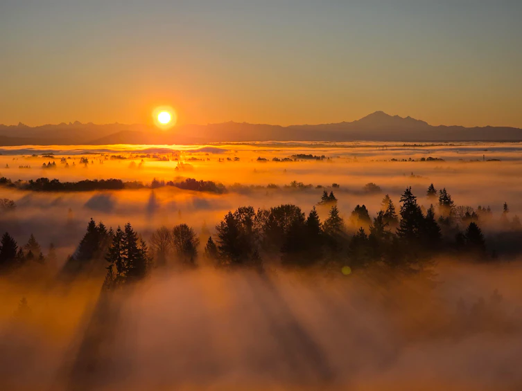 2802-3080 Lincoln Avenue, Coquitlam, BC, V3B 0L9 - 21