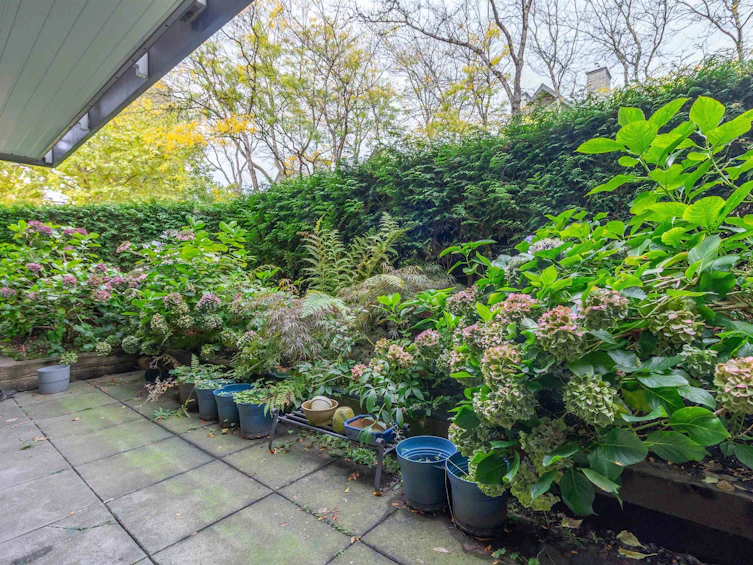 109-15120 108 Avenue, Surrey, BC, V3R 0T7 - 30