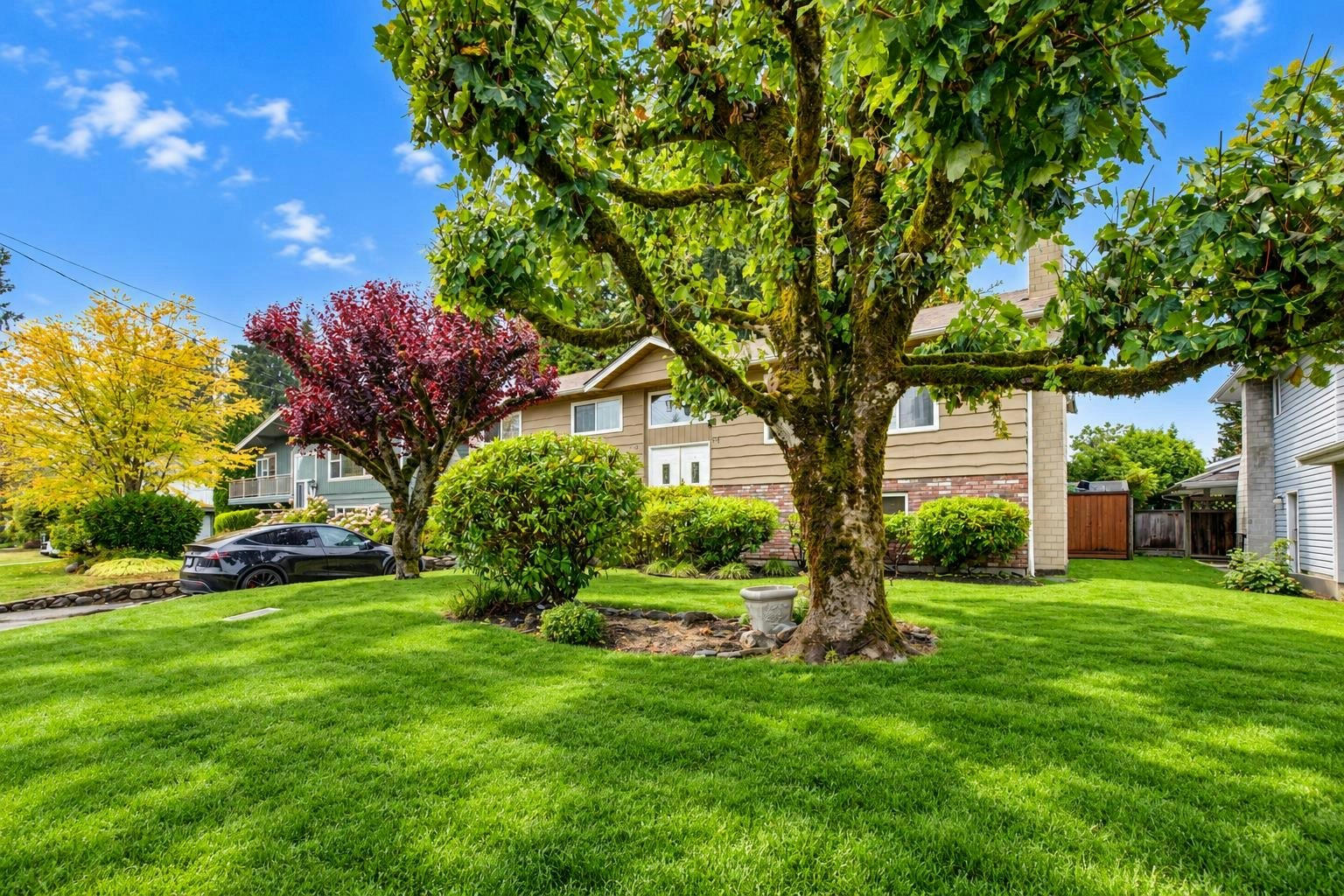 1605 Cornell Avenue - 3