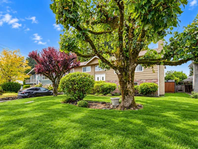 1605 Cornell Avenue - 3