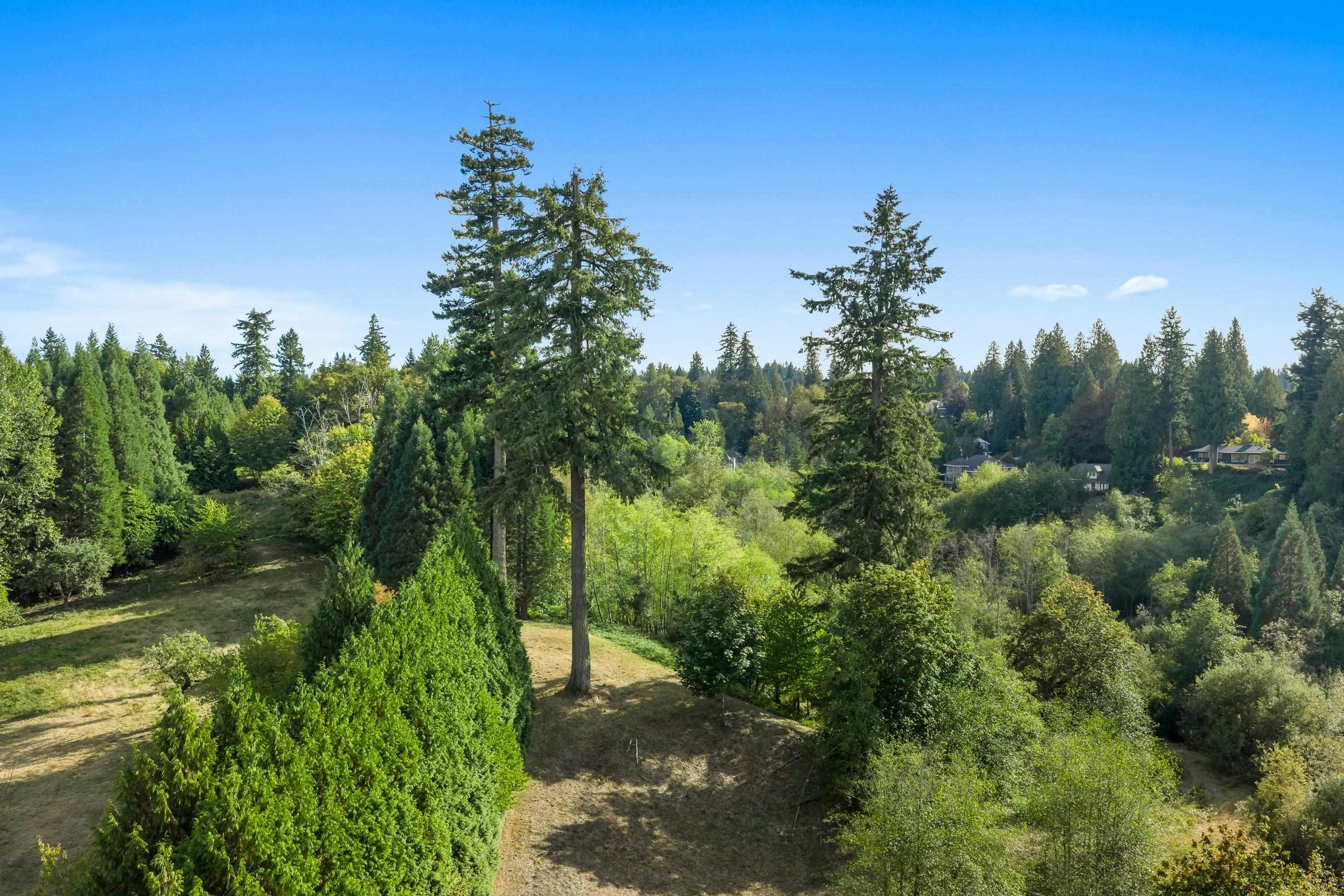 21180 48 Avenue, Langley, BC, V3A 3M2 - 22