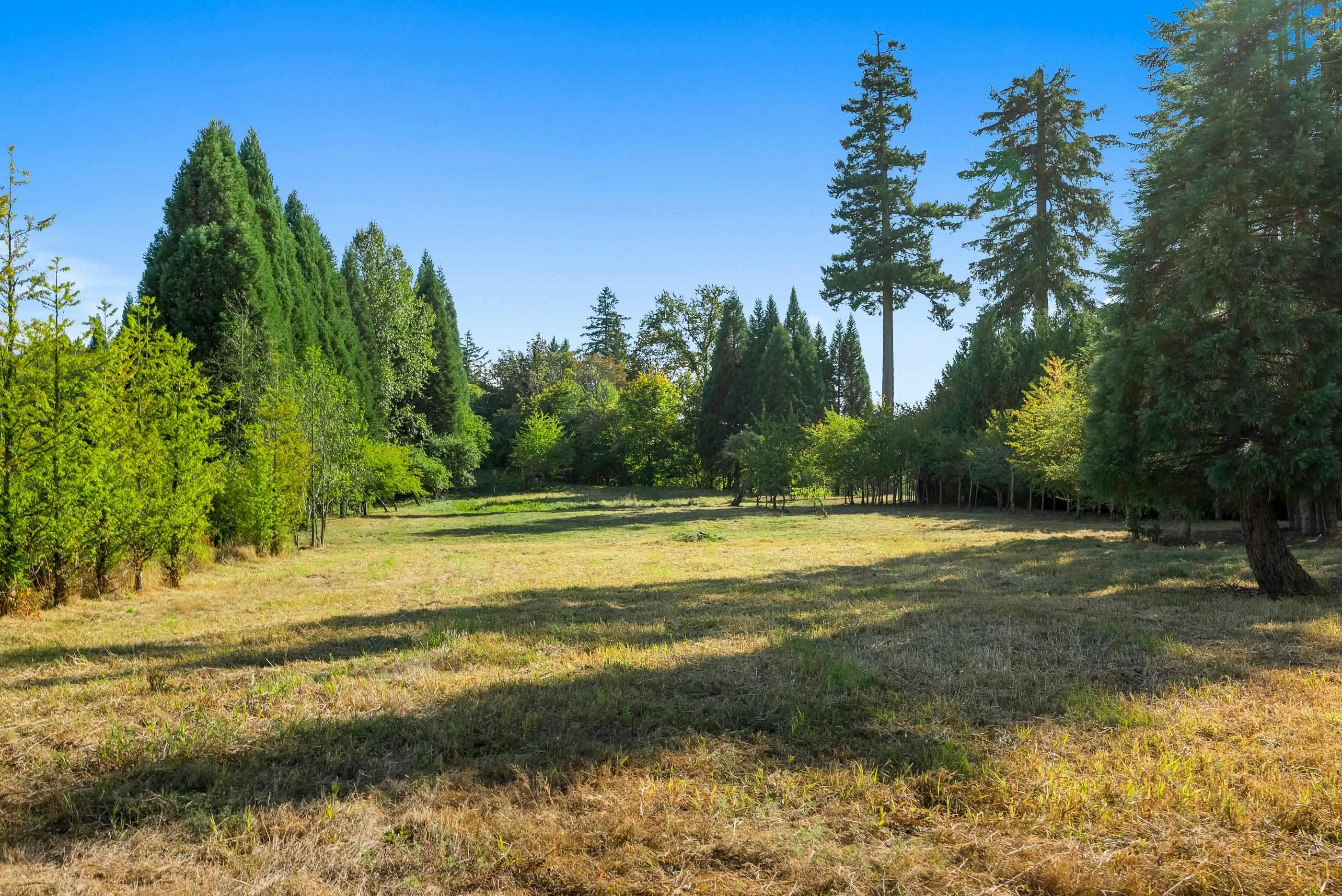 21180 48 Avenue, Langley, BC, V3A 3M2 - 31