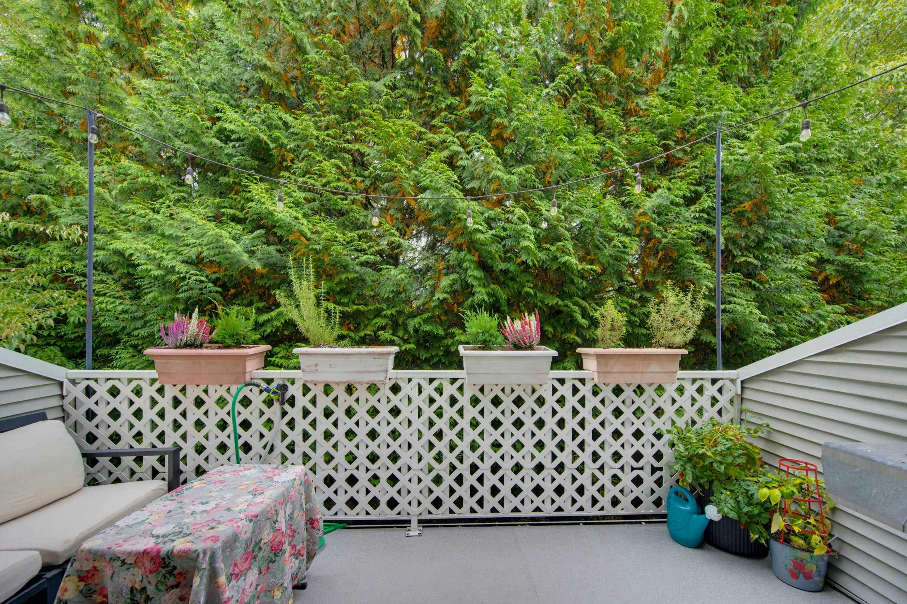 72-6450 199 Street, Langley, BC, V2Y 2X1 - 17