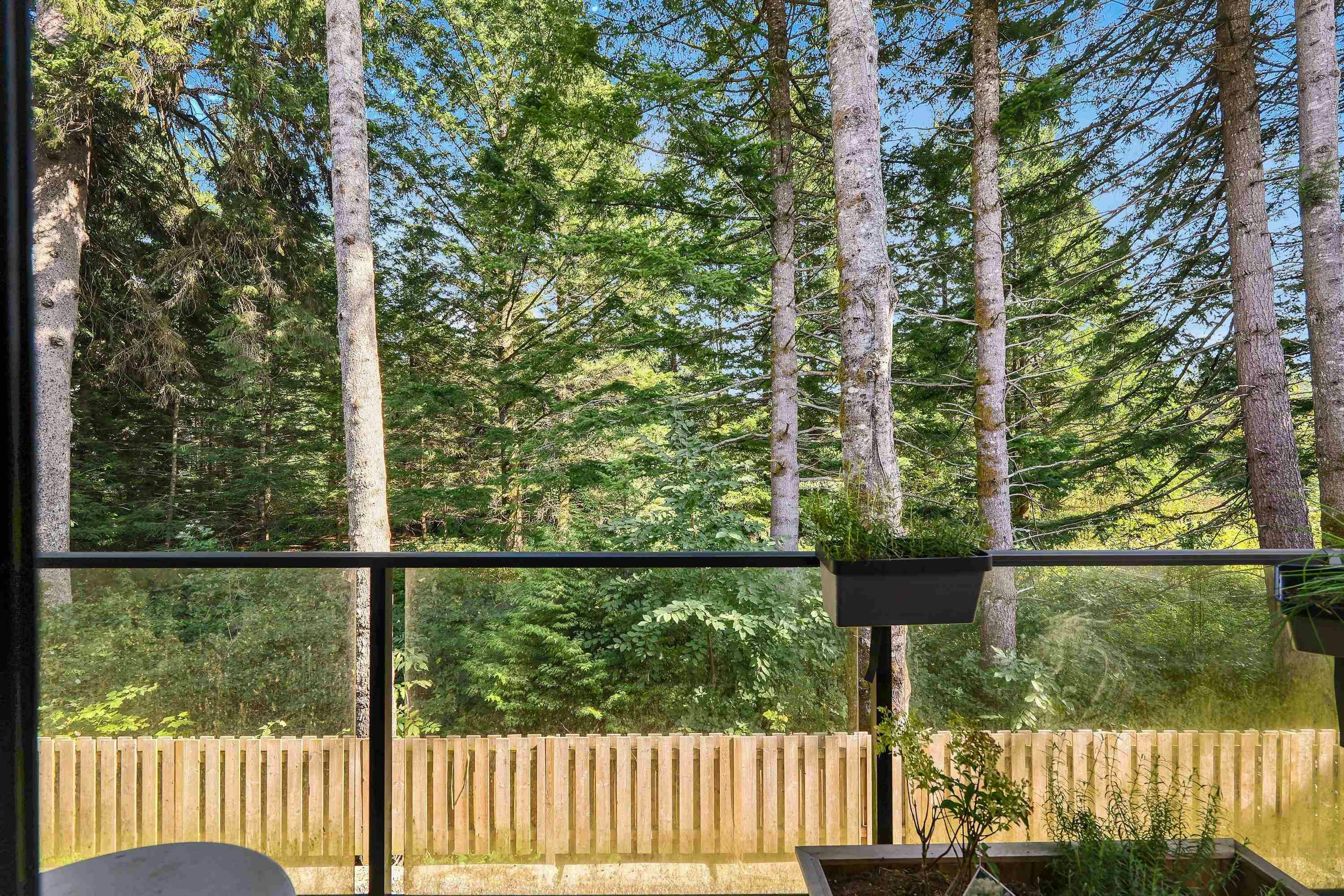 64-39769 Government Road, Squamish, BC, V8B 0Z1 - 21