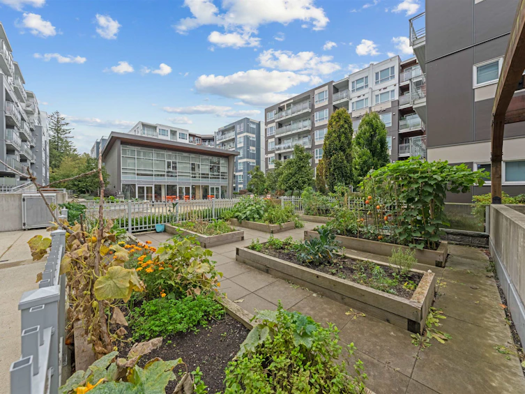 624-13963 105a Street, Surrey, BC, V3T 0M9 - 9