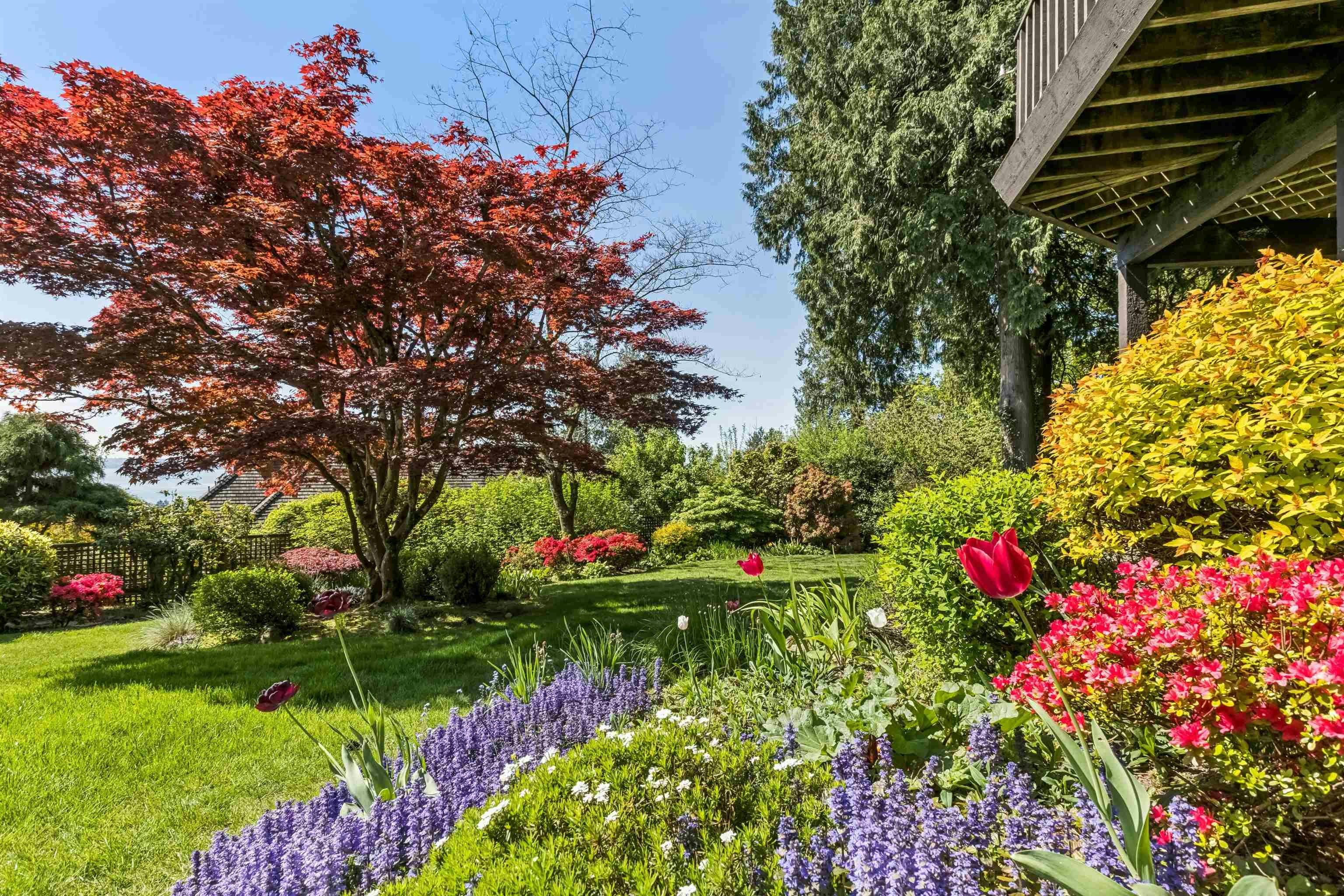 2440 Queens Avenue, West Vancouver, BC, V7V 2Y6 - 27