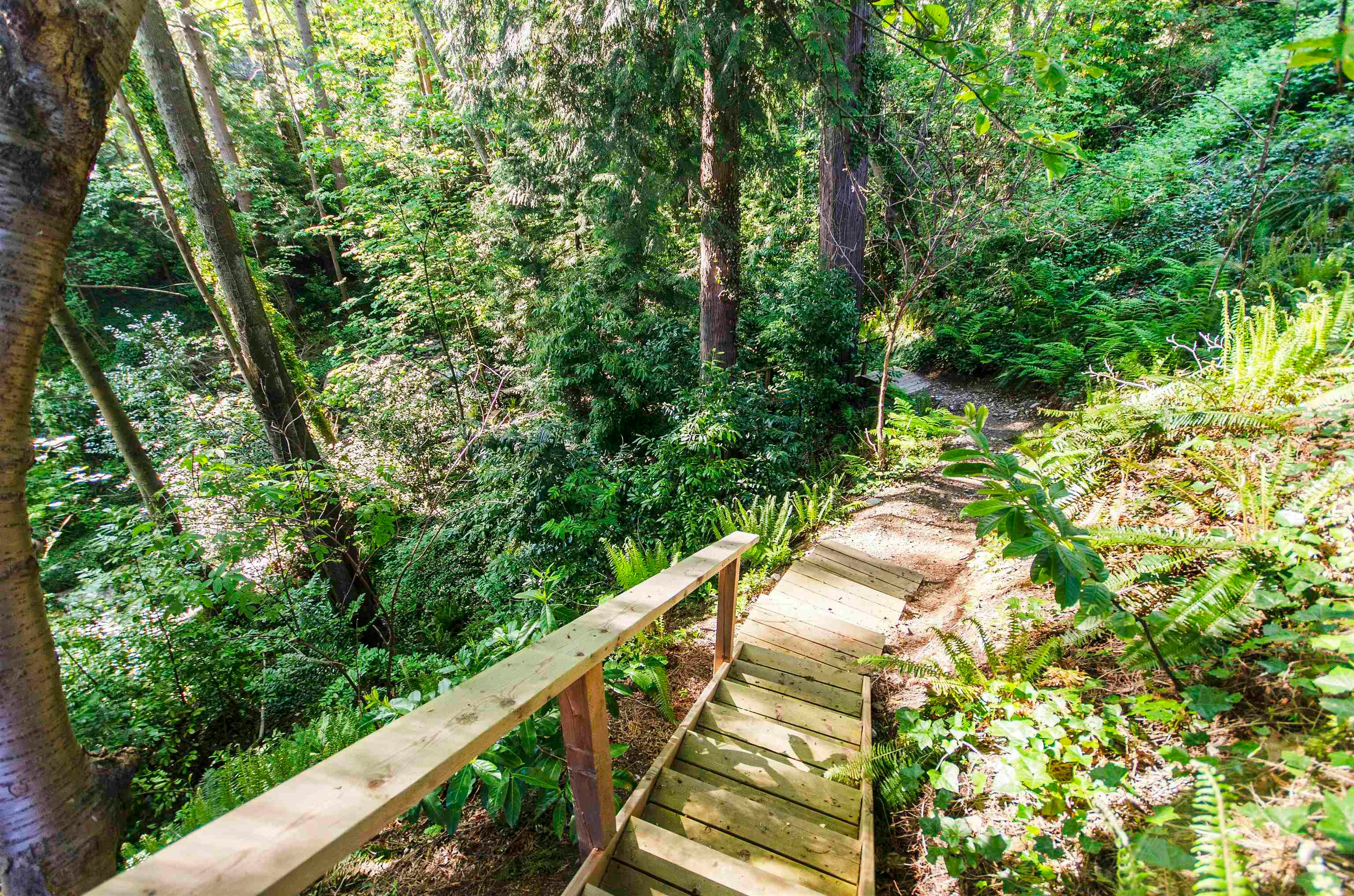 2440 Queens Avenue, West Vancouver, BC, V7V 2Y6 - 31