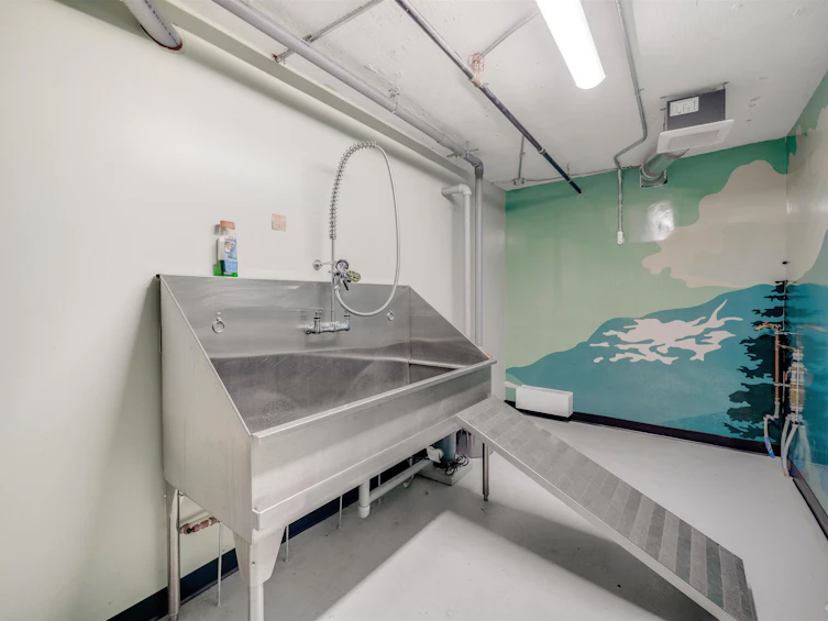 207-128 E 8th Street, North Vancouver, BC, V7L 1Y7 - 21