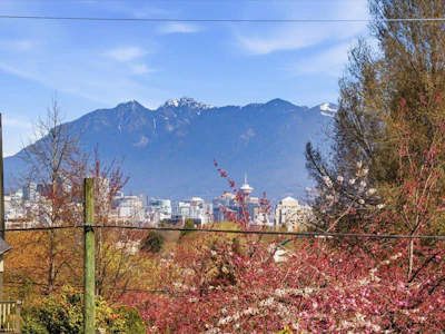 706 W 24th Avenue - 4