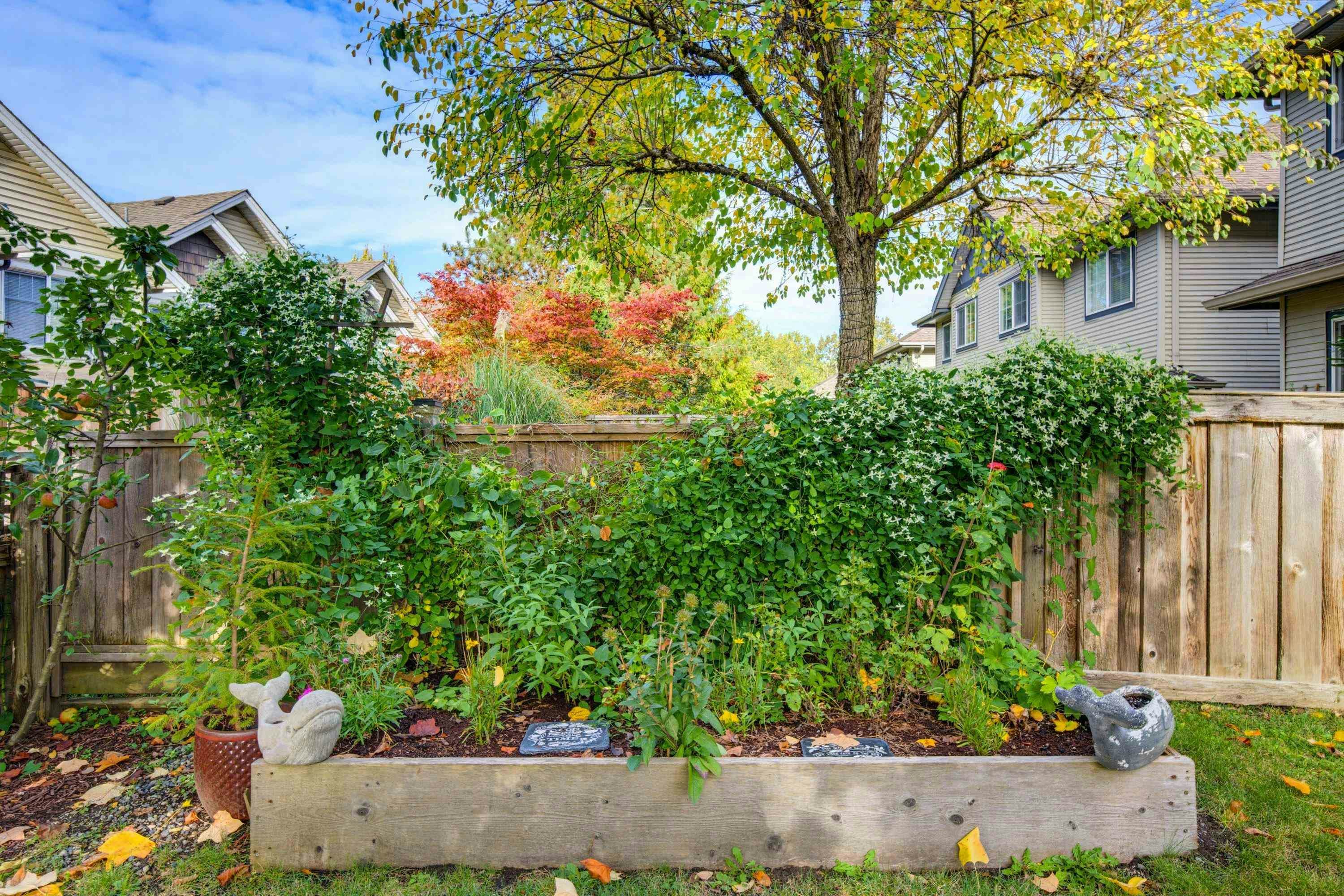 29-11229 232 Street, Maple Ridge, BC, V2X 2N4 - 39