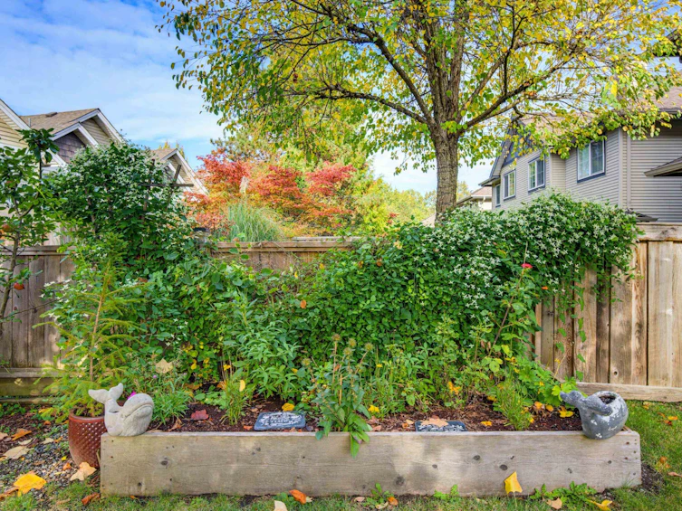 29-11229 232 Street, Maple Ridge, BC, V2X 2N4 - 39