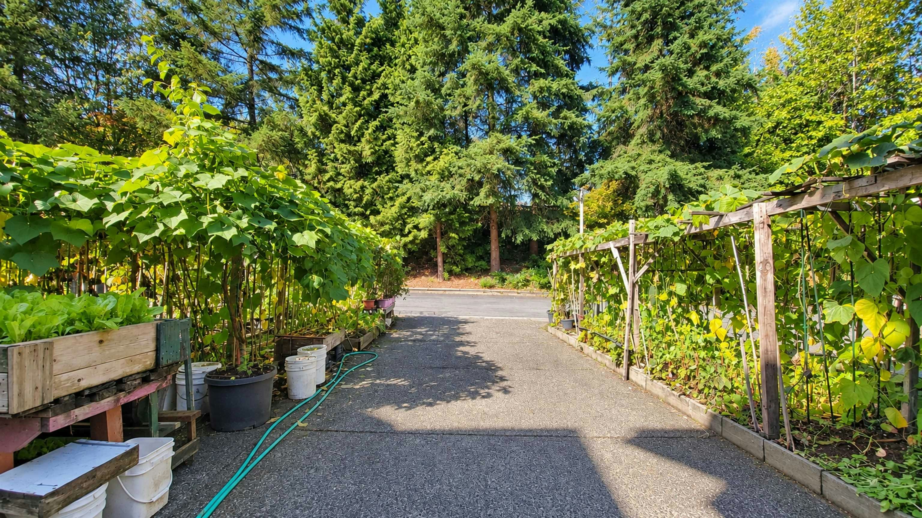 22789 116 Avenue, Maple Ridge, BC, V2X 3N6 - 33