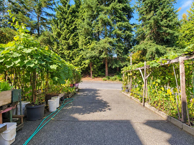 22789 116 Avenue, Maple Ridge, BC, V2X 3N6 - 33