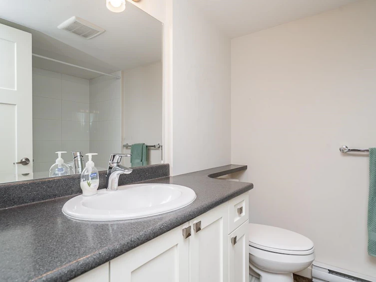 2663 275a Street, Langley, BC, V4W 0C4 - 32