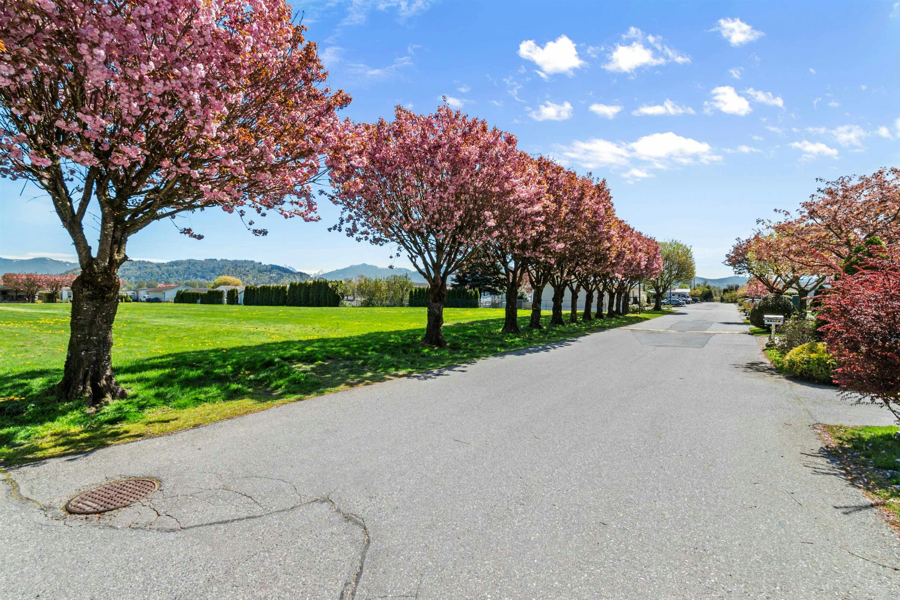 13-41168 Lougheed Highway, Mission, BC, V0M 1G0 - 38