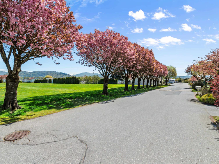 13-41168 Lougheed Highway, Mission, BC, V0M 1G0 - 38