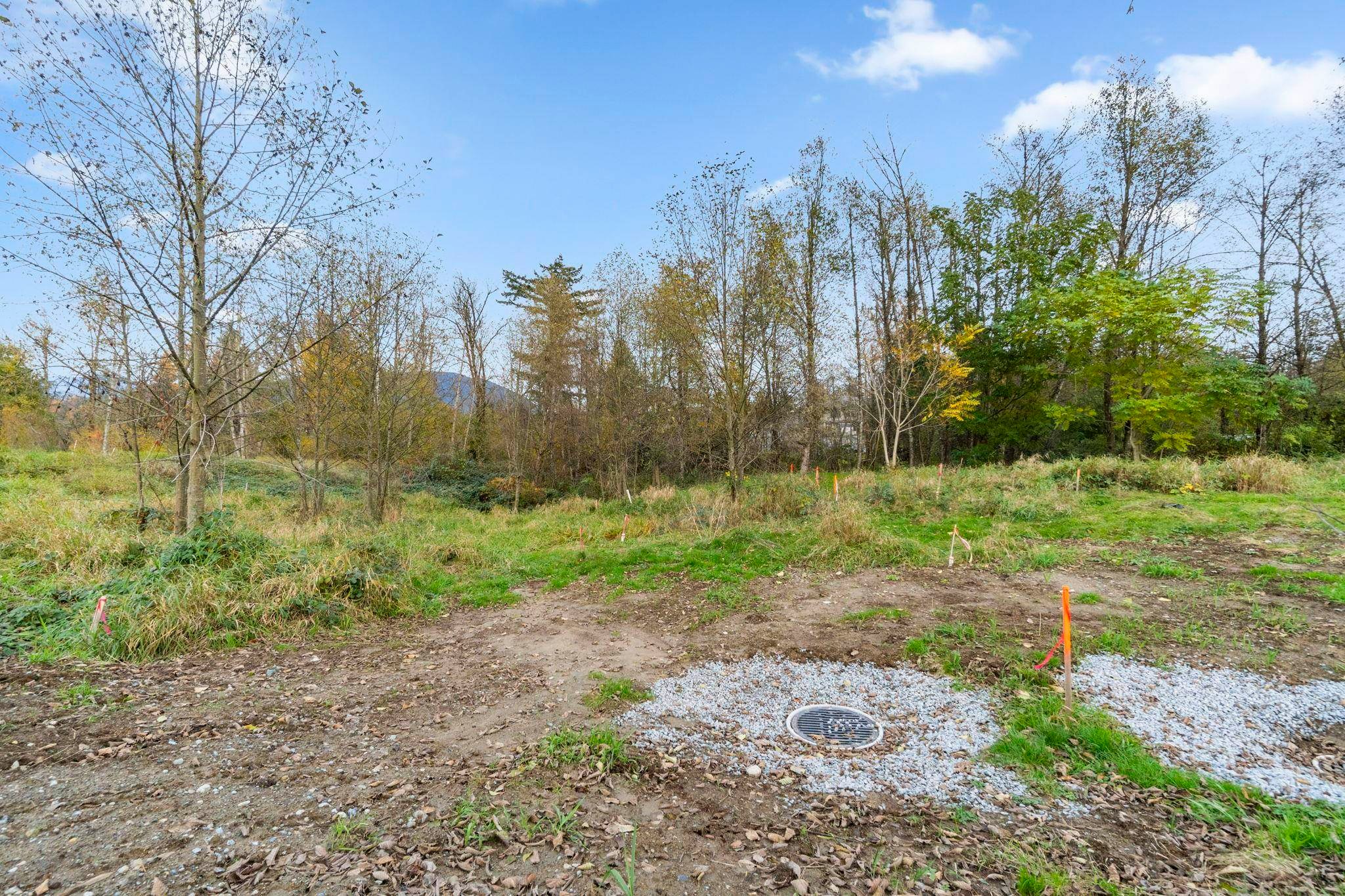 8718 Hitch Terrace - 5