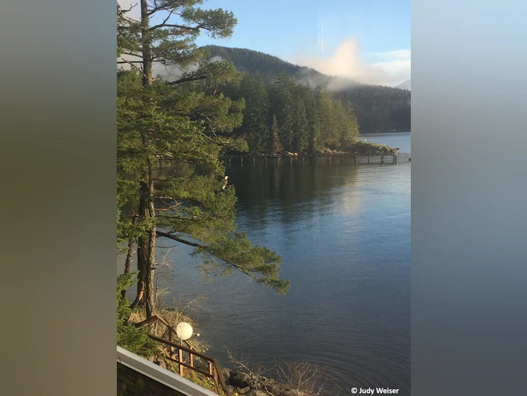 890 The Grove Road, Gambier Island, BC, V0N 1V0 - 32