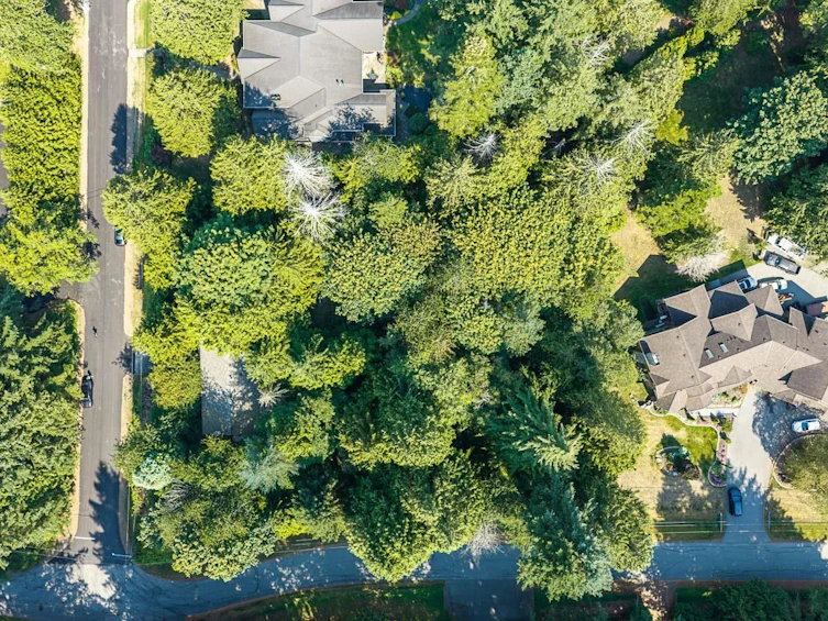 3530 142a Street, Surrey, BC, V4P 1M3 - 23