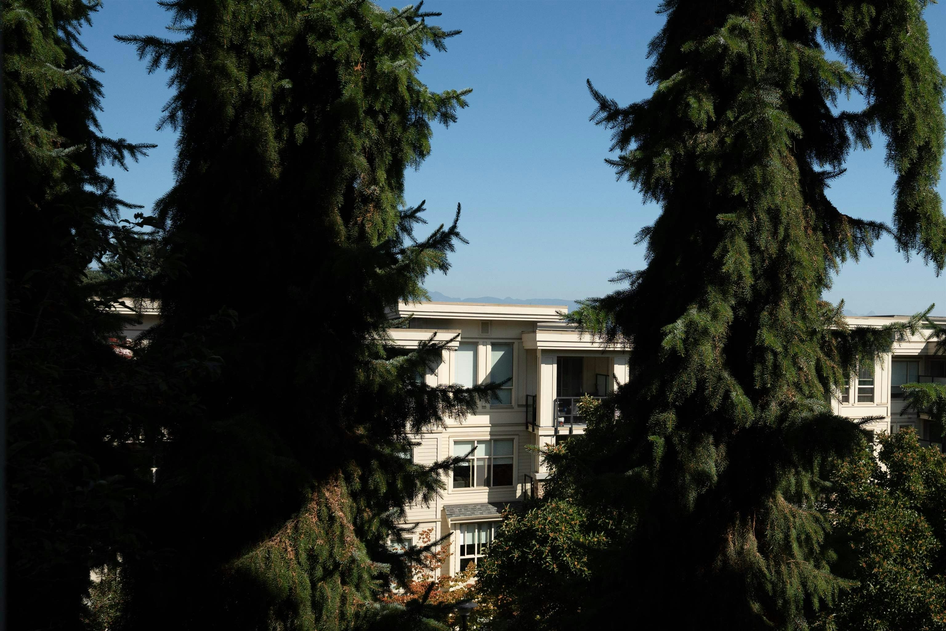 203-255 Ross Drive, New Westminster, BC, V3L 0C7 - 29