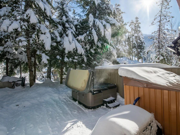 23-2324 Taluswood Place, Whistler, BC, V8E 0R1 - 22