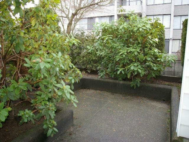 113-707 8 Street, New Westminster, BC, V3M 3S6 - 2