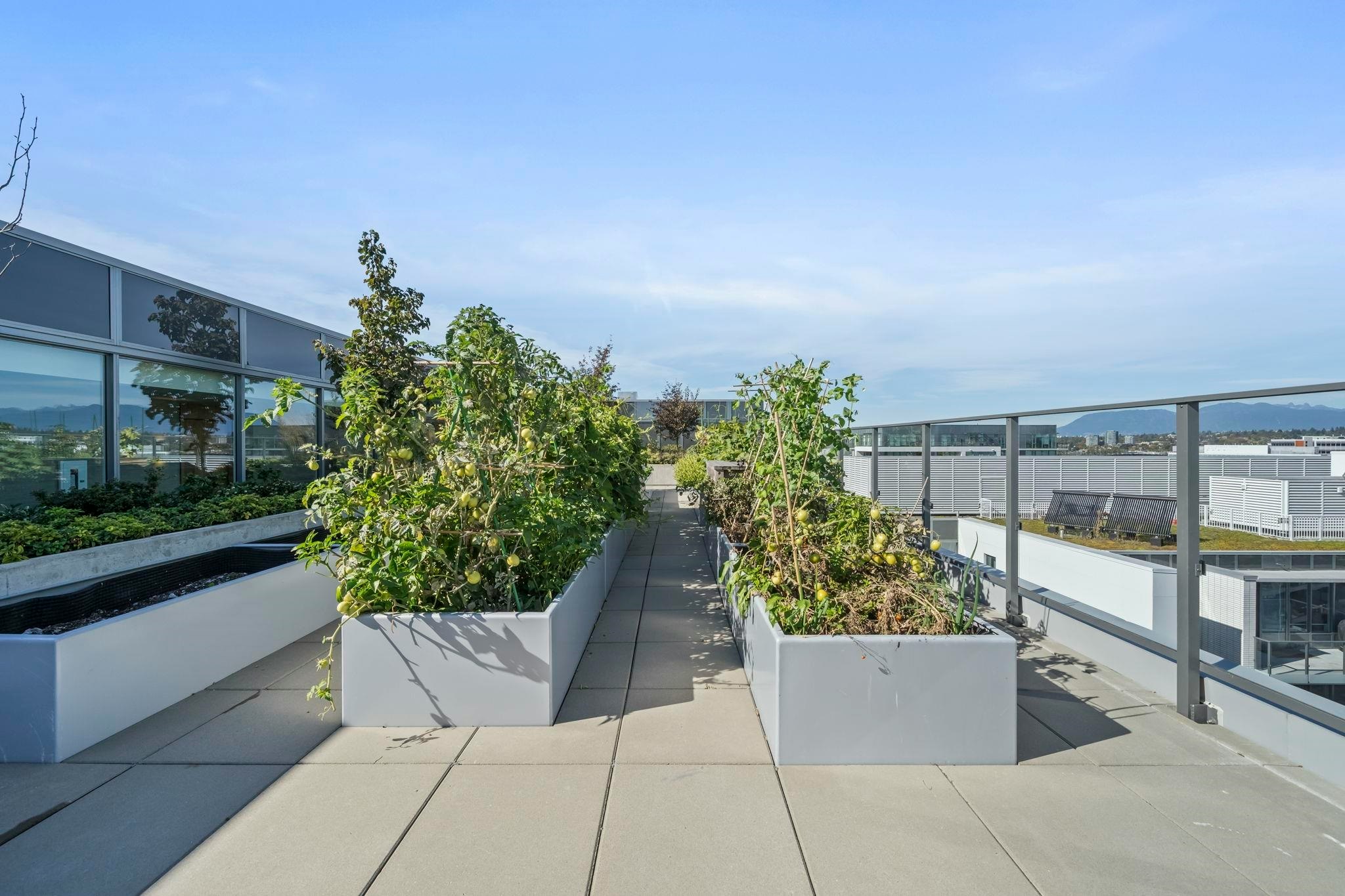 1401-8611 Hazelbridge Way, Richmond, BC, V6X 0W8 - 32
